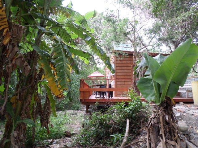 Yellowwood Forest Eco Retreat Morgans Bay Exterior foto