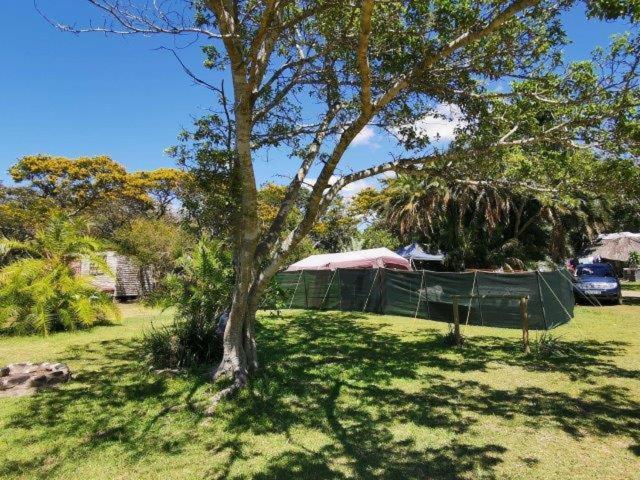 Yellowwood Forest Eco Retreat Morgans Bay Exterior foto